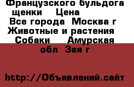 Французского бульдога щенки  › Цена ­ 35 000 - Все города, Москва г. Животные и растения » Собаки   . Амурская обл.,Зея г.